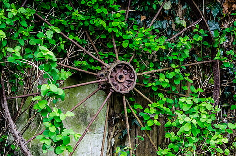 Leaf, Wheel, Rust, Old, Vintage, Metal, retro, antique, iron HD wallpaper