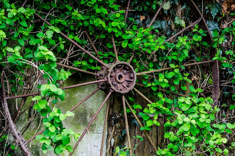 Leaf, Wheel, Rust, Old, Vintage, Metal, retro, antique, iron HD wallpaper