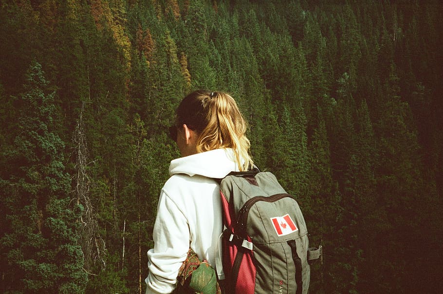 woman facing forward on tall green trees, woman wearing gray and red backpack HD wallpaper