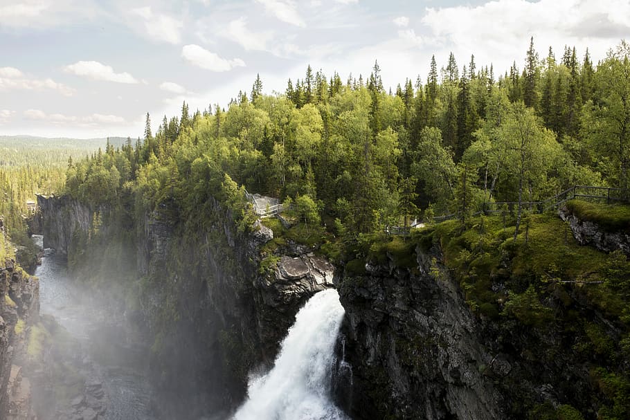 waterfalls surrounded by trees, forest and waterfalls, landscape HD wallpaper