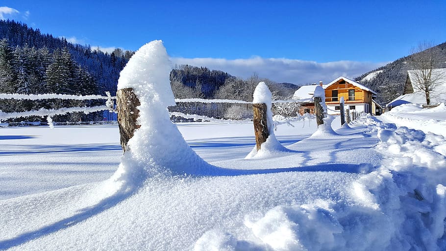 snow, nature, winter, cold temperature, tree, architecture HD wallpaper