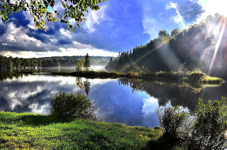 body of water surrounded by trees during daytime, landscape HD wallpaper