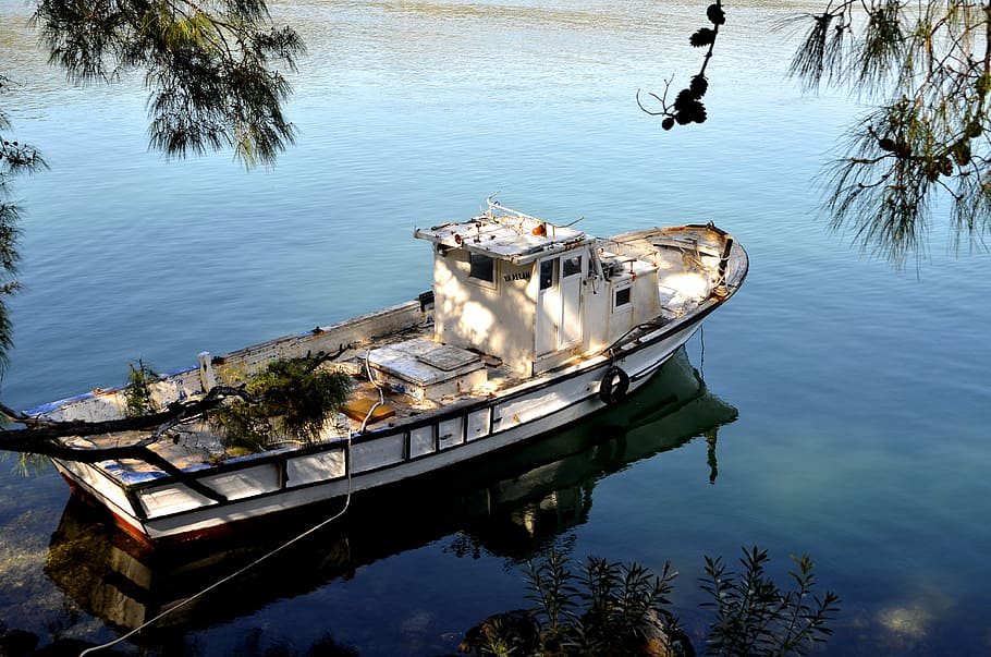 boot, water, sea, nautical vessel, mode of transportation, tree HD wallpaper