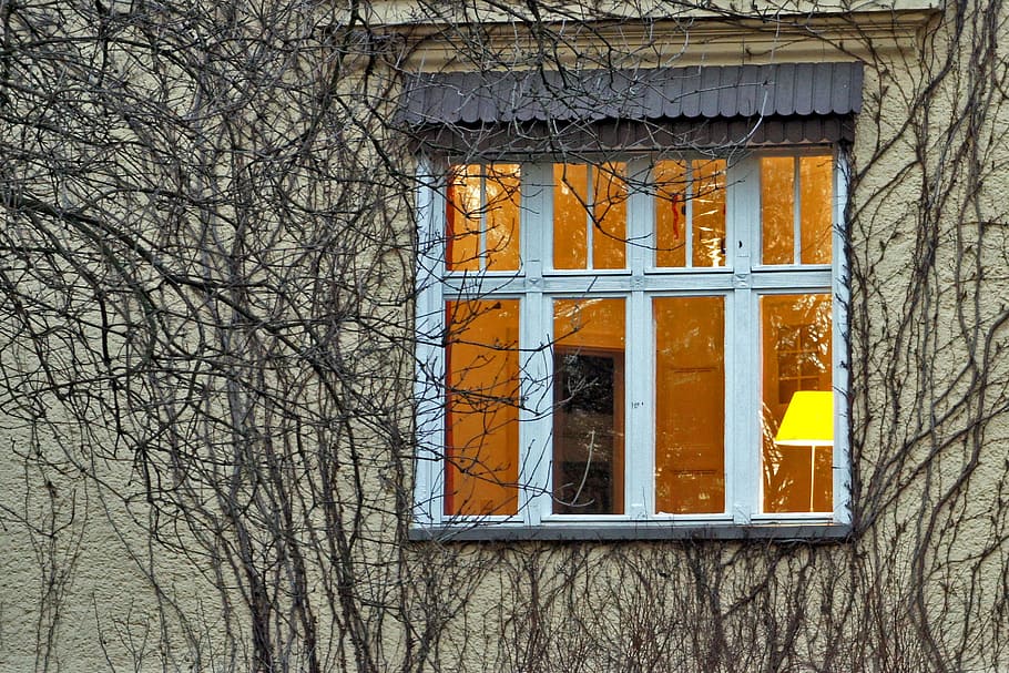 Light, Window, Building, Home, bowever, bare tree, architecture HD wallpaper