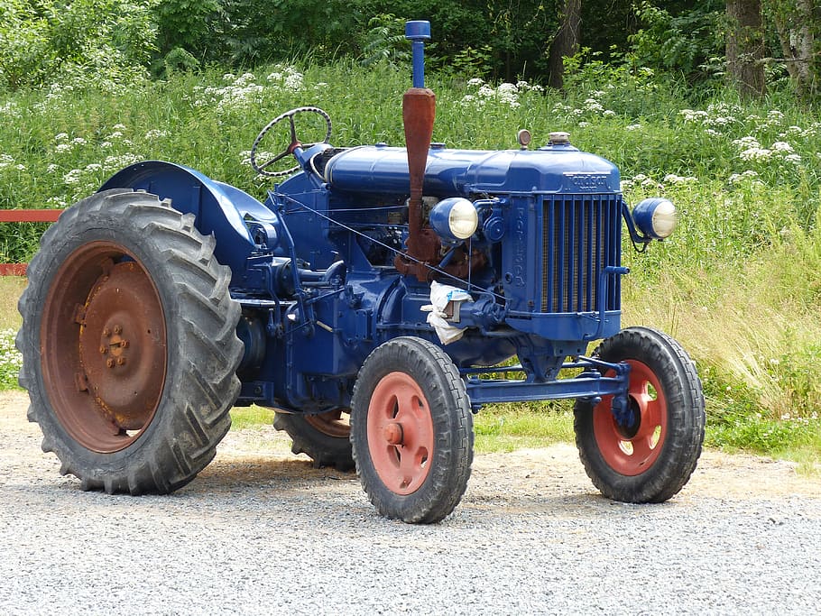 blue tractor on road near white petaled flowers at daytime HD wallpaper