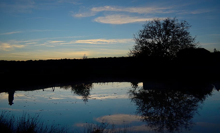 nature, sky, reflection, surface, pond, trees, clouds, water HD wallpaper