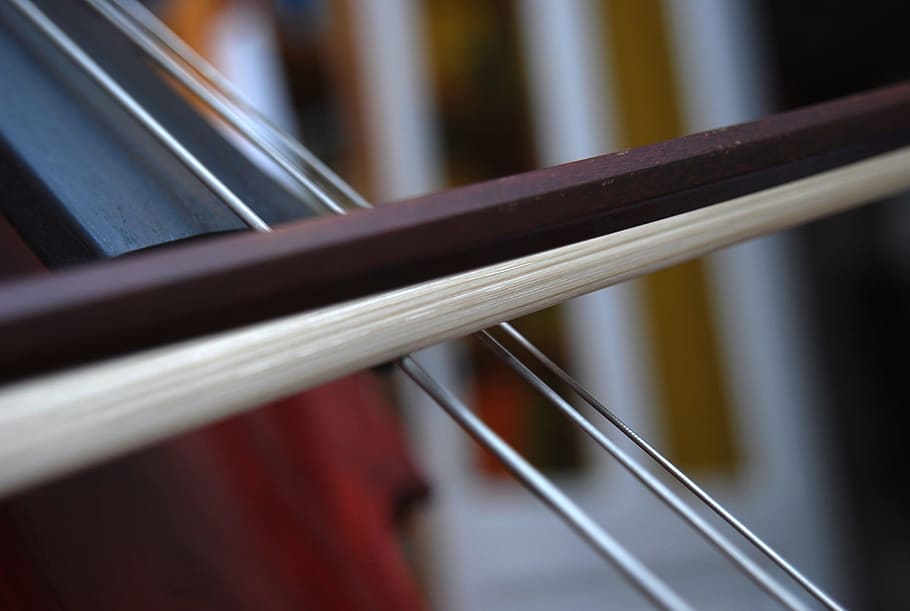 cello, strings, classical music, bow, close-up, selective focus HD wallpaper