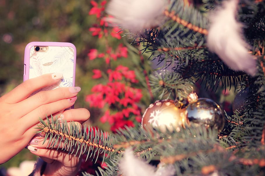 selective photography of person holding phone taking photo on christmas tree HD wallpaper