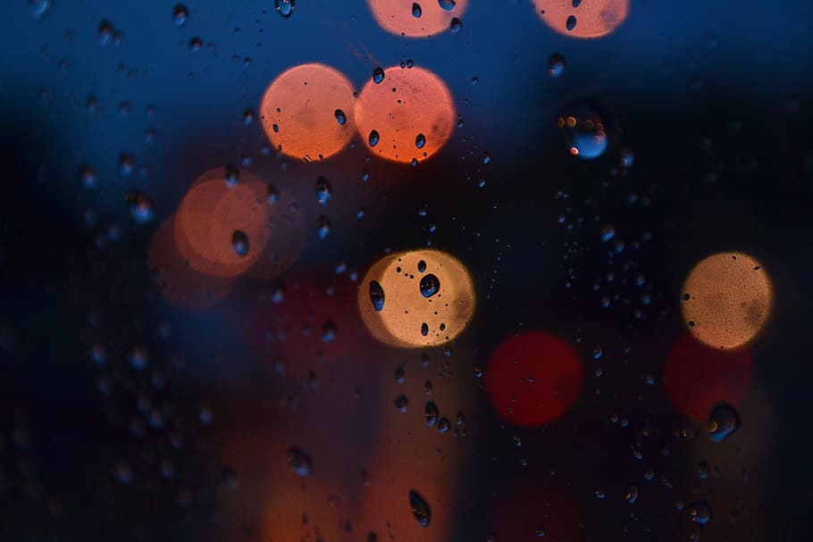 closeup photo of water droplets, bokeh, lights, background HD wallpaper