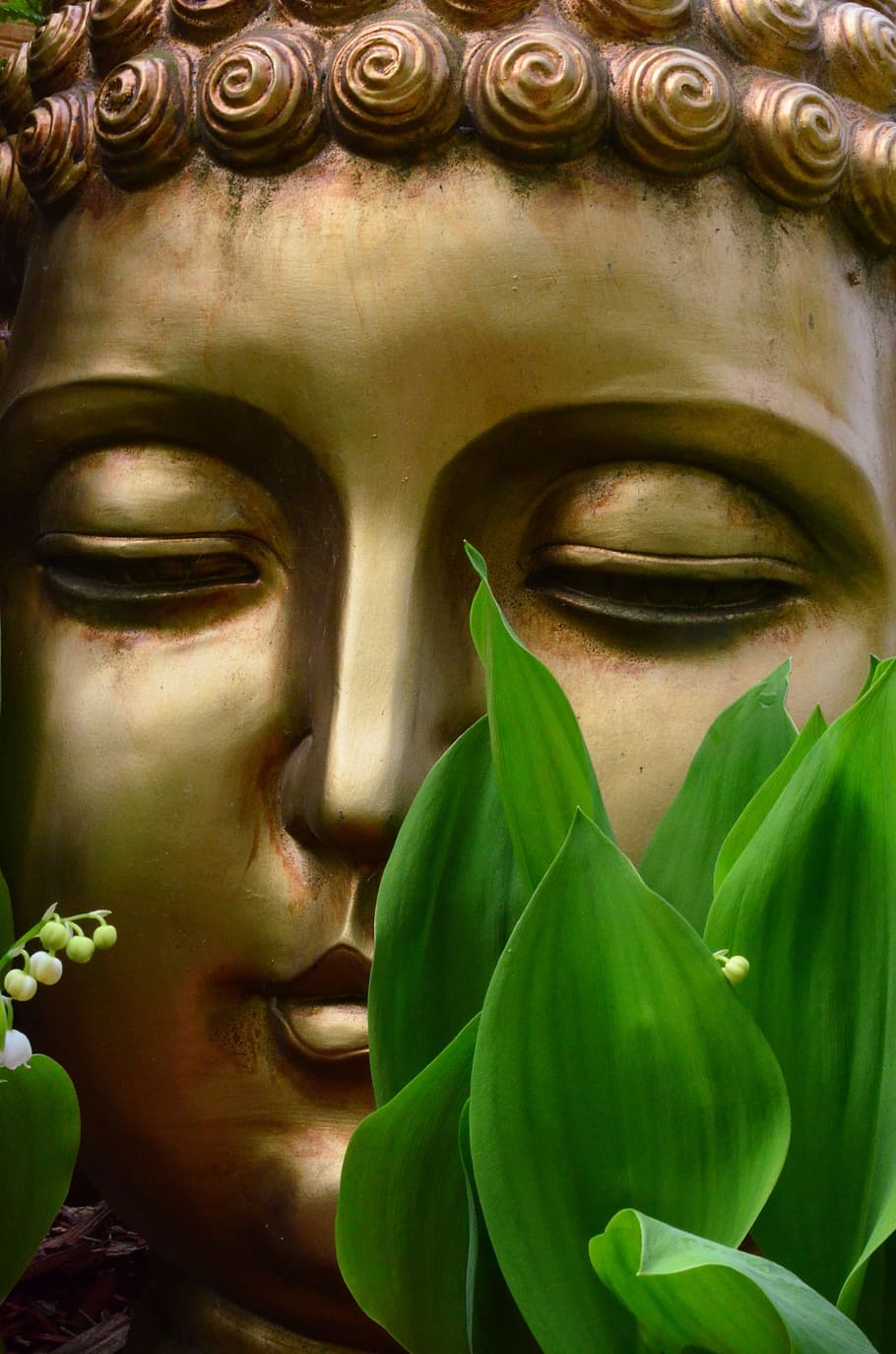 gold Buddha bust statue behind green leafed plant, buddah, art and craft, HD wallpaper
