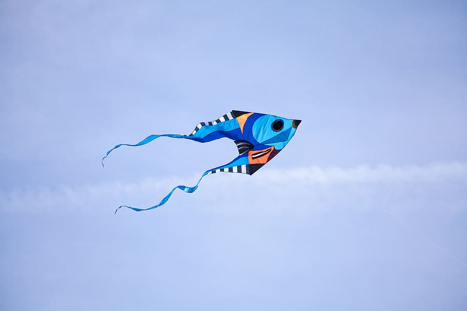 kite, dragon, autumn, wind, the sky, air, entertainment, colorful HD wallpaper