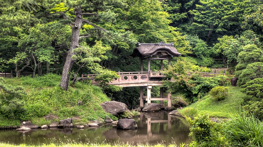 brown wooden bridge near green leaf trees, forest, grass, landscape HD wallpaper