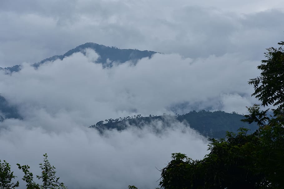 cloud, nature, monsoon, himalayas, tree, cloud - sky, plant HD wallpaper