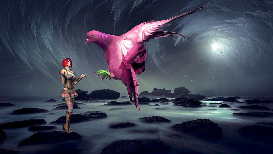 anime character talking to pink bird illustration, fantasy, woman