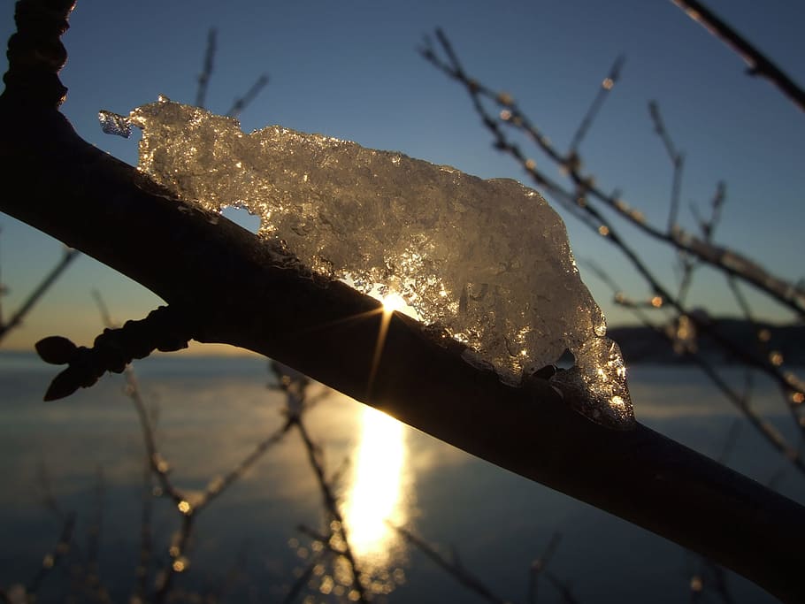 ice, sunset, branch, twig, norway, hvitstenstranda, frozen HD wallpaper