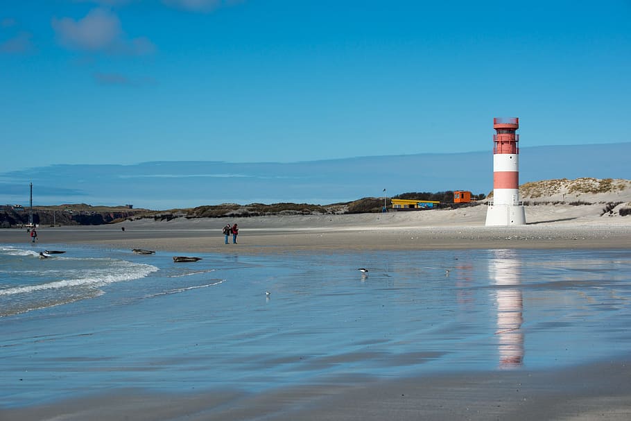 Lighthouse, Helgoland, Dune, Sky, Blue, mirroring, sea, north sea, HD wallpaper