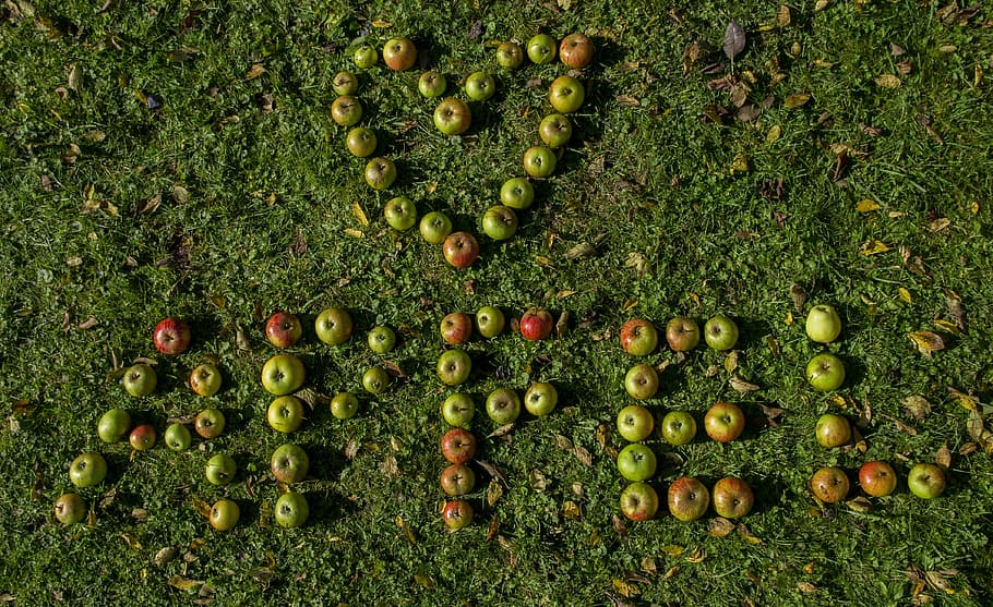 apple, heart, fruit, healthy, letters, word, rush, delicious HD wallpaper