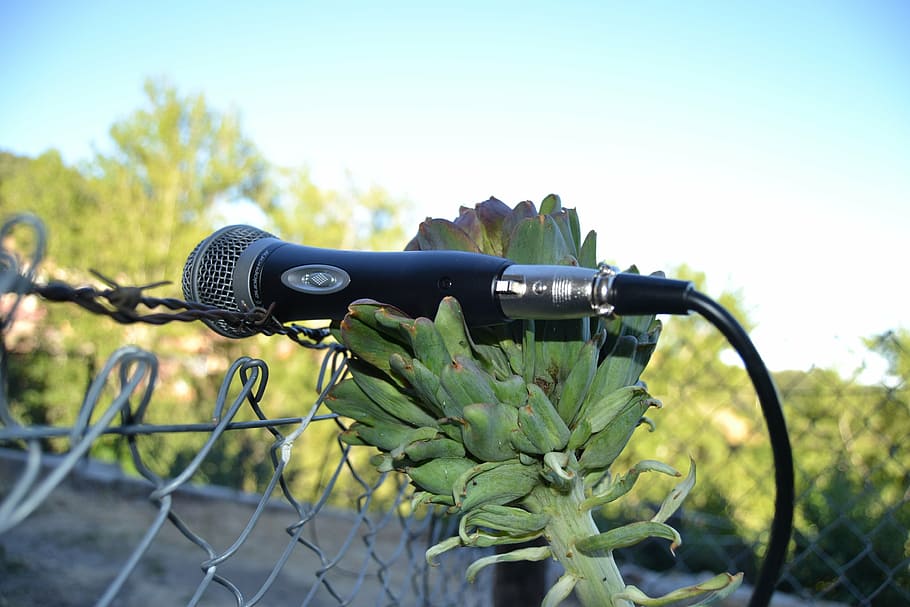 microphone, artichoke, nature, technology, bicycle, transportation HD wallpaper