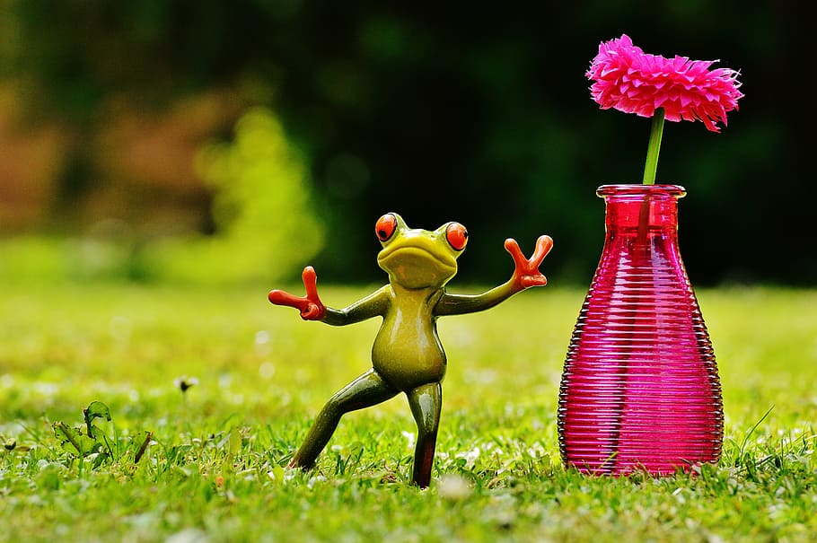 frog, gesture, peace, vase, flower, funny, cute, figure, sweet HD wallpaper
