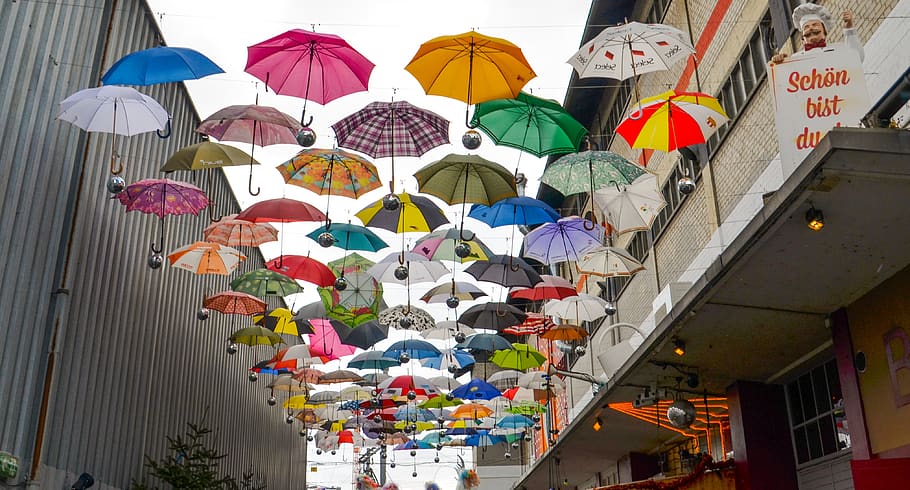 umbrella, protection, parasol, rainy weather, april weather, HD wallpaper