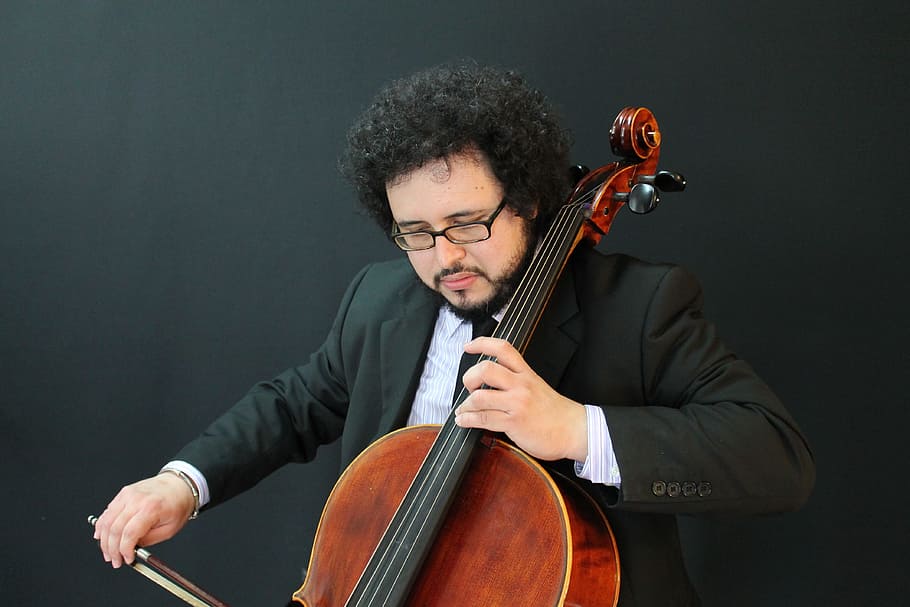violin, master, instruments, violinist, musician, musical instrument HD wallpaper