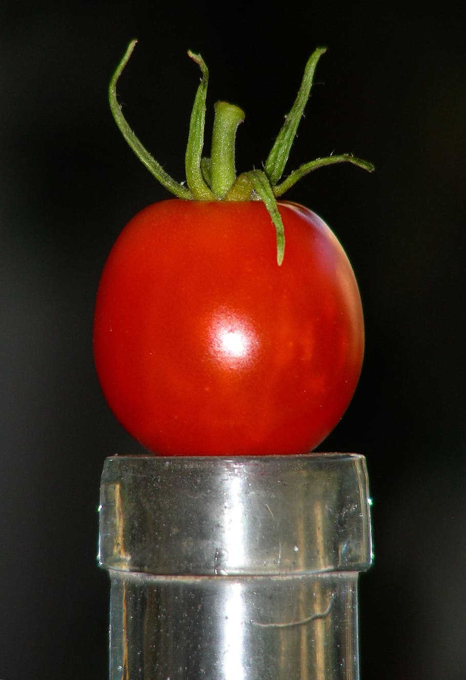 tomato, fruit, vegetables, red, food and drink, close-up, freshness HD wallpaper