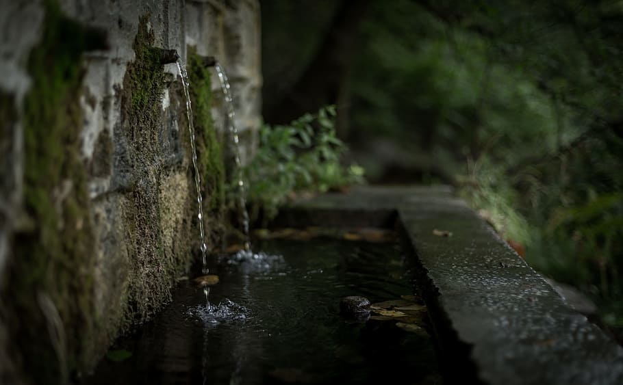 wall, water, drainage, blur, dark, nature, plant, tree, no people HD wallpaper
