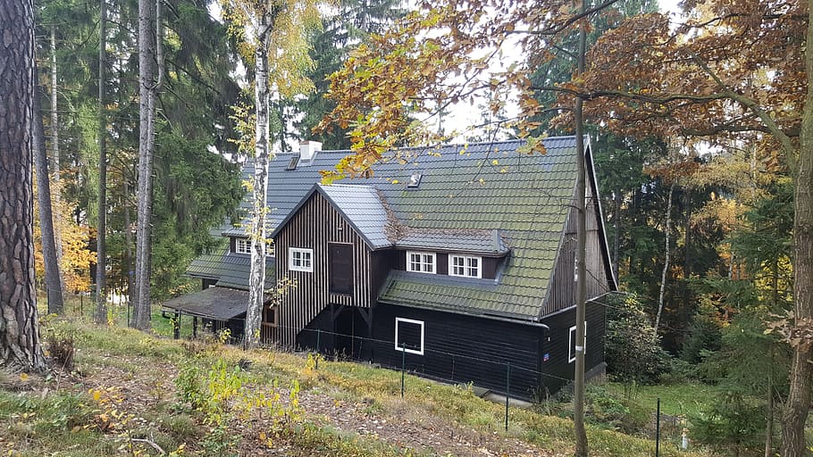 Forest, Architecture, Old House, wooden cottage, mountains HD wallpaper