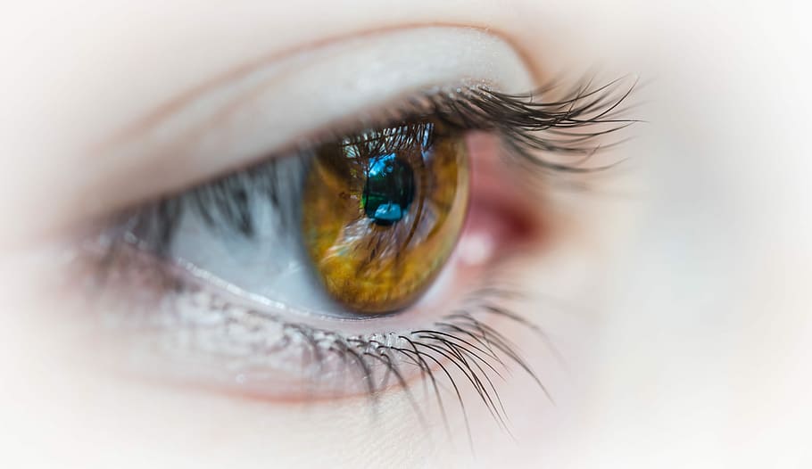 selective focus photography of human eye, close up photography of right amber human eye HD wallpaper