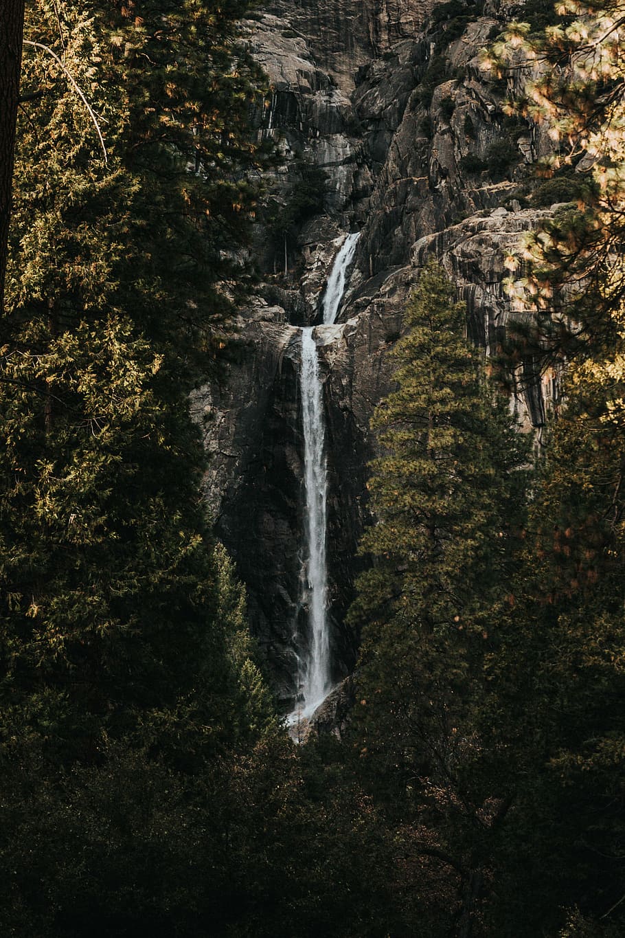 water falls, waterfalls surrounded by tall tree, rock, cliff HD wallpaper