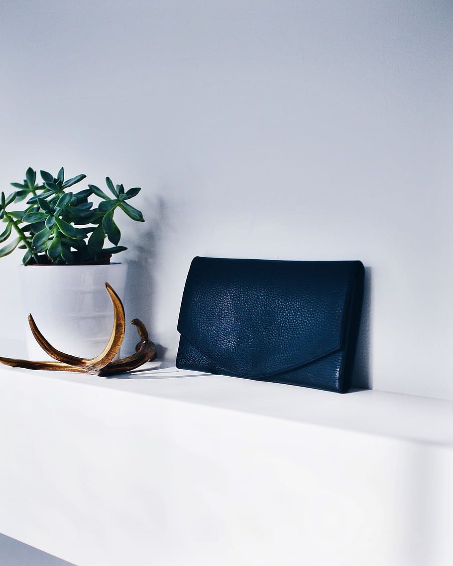 blue leather purse near green leafed plant on shelf, flower HD wallpaper