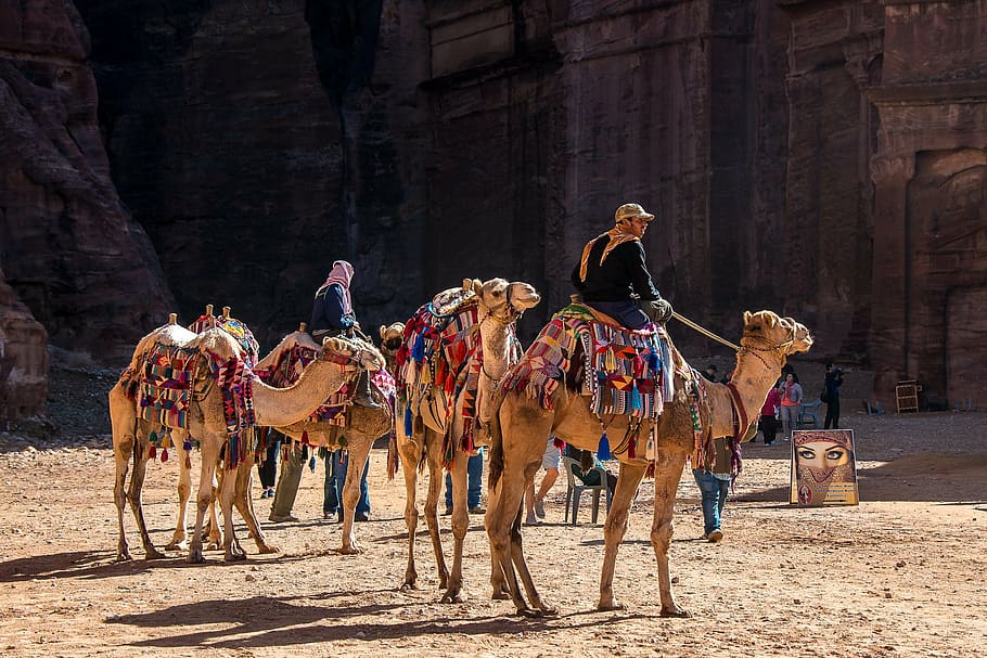 people riding camel near rock formation at daytime, jordan, petra