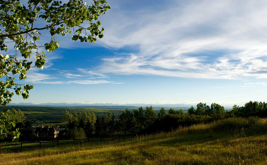 mountain, mountains, hills, field, grass, trees, leaves, summer HD wallpaper