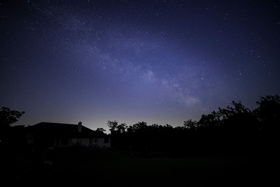 Stars and Galaxy in the night sky, darkness, public domain, trees HD wallpaper