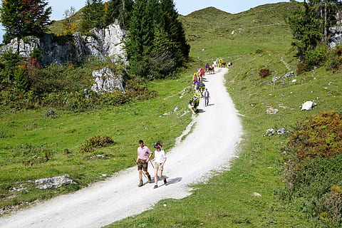alm, austria, wilder, emperor, mountain, hill, away, landscape HD wallpaper