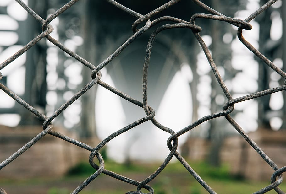 gray barb wire fence, barbed wire, barrier, blur, camp, close-up