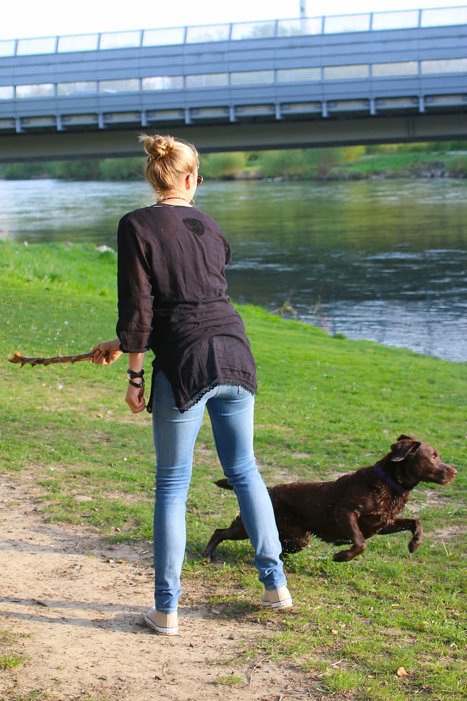 river, nature, human, dog, floor, branch, retrieve, throw, outdoors HD wallpaper