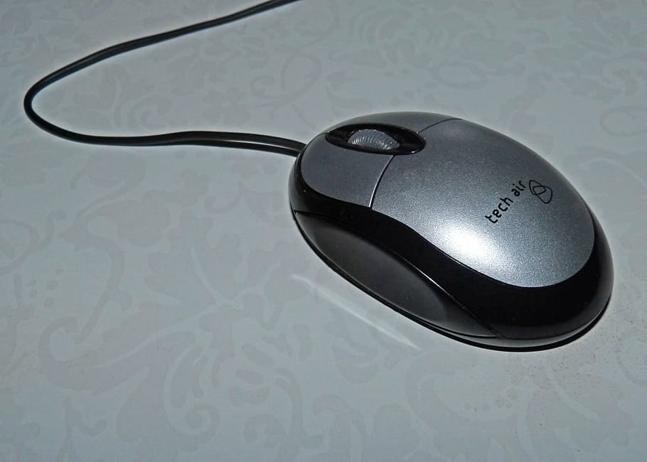 mouse, computing, technology, computer mouse, computer equipment HD wallpaper