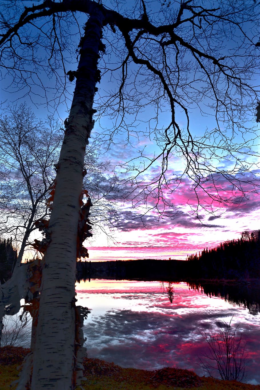 Sunset, Landscape, Twilight, Nature, birch, lake, clouds, colors HD wallpaper