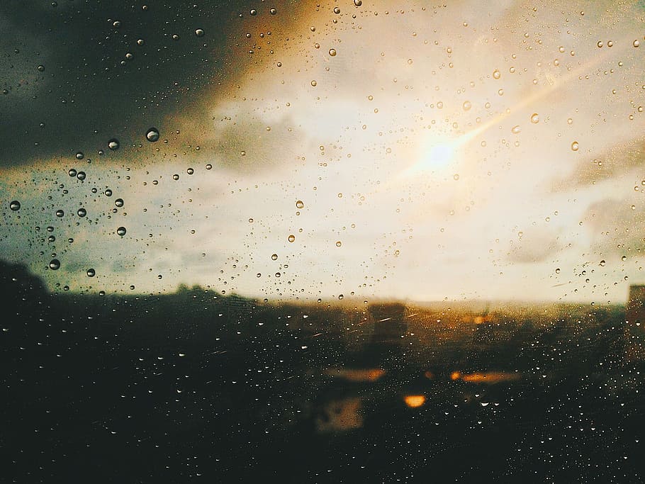 dew drops on glass, selective focus photography of water droplets on window HD wallpaper