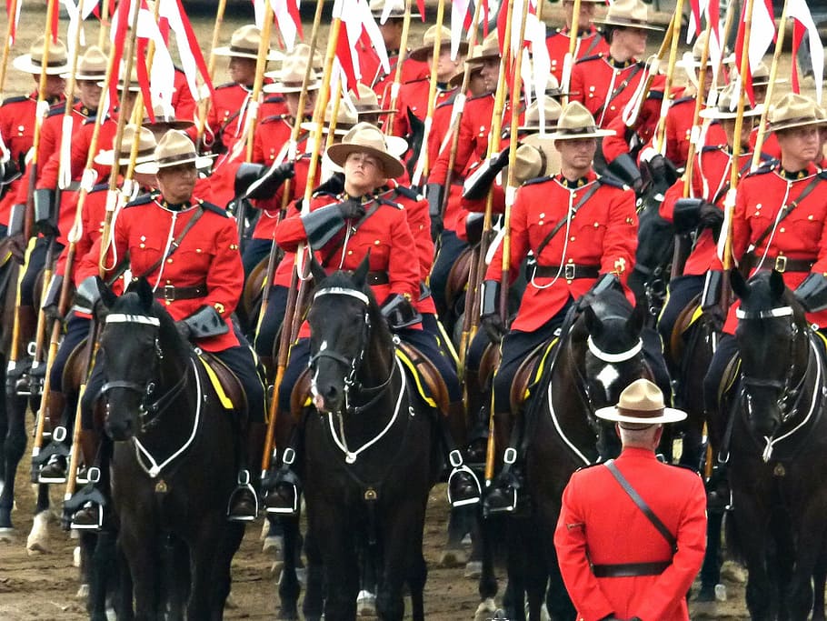 Calgary stampede 1080P, 2K, 4K, 5K HD wallpapers free download ...