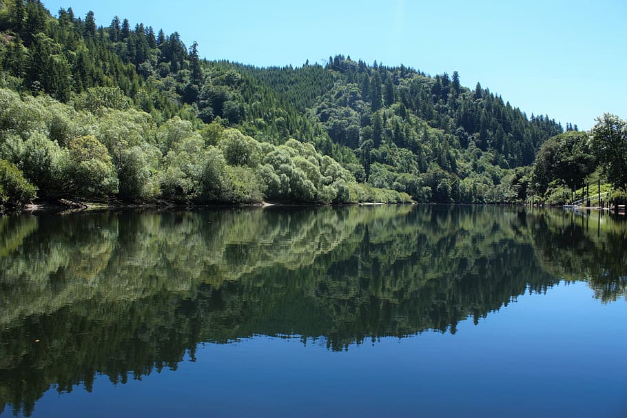 lakeside, reflective, trees, forest, water, crisp, escape, sky HD wallpaper