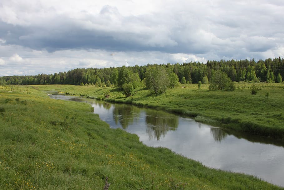 summer, river, meadow, grass, village, cloud - sky, water, plant HD wallpaper