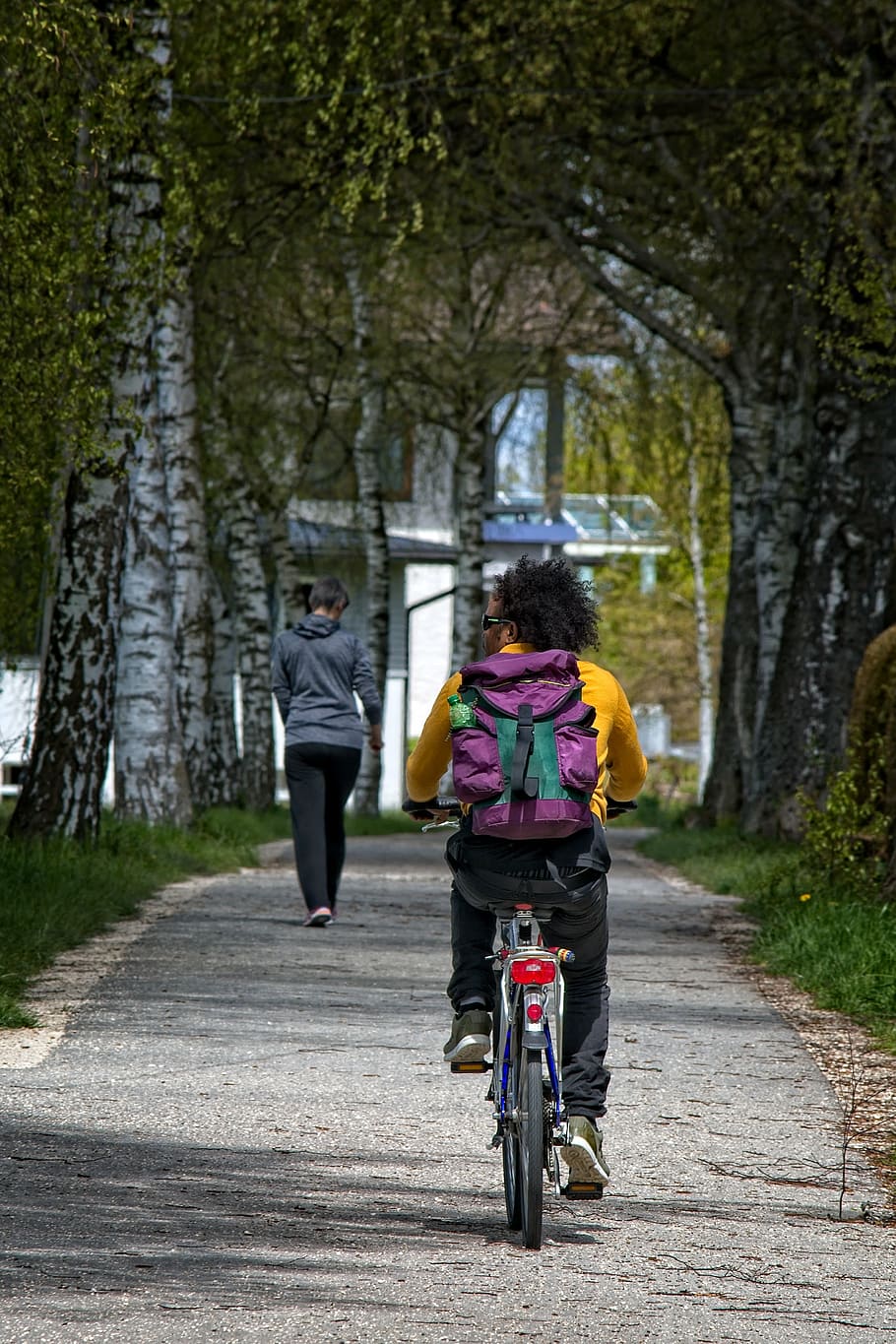 cyclists, away, cycle path, cycling, bike, leisure, recovery HD wallpaper