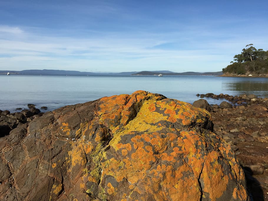 rock, sea, sky, tree, view, colour, orange, yellow, outdoor HD wallpaper