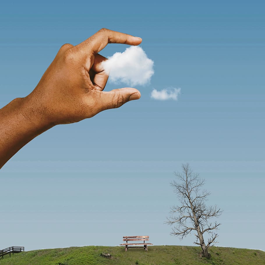 Cloud, Tree, Nature, Summer, White, sky, human body part, cloud - sky HD wallpaper