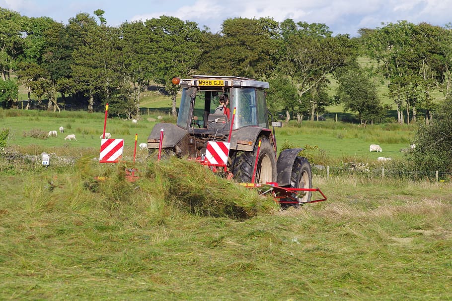 Hay, Tractor, Rural, hay making, summer, machine, grass, equipment HD wallpaper