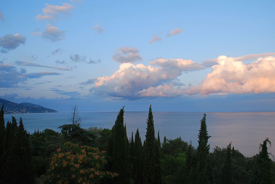 clouds, evening, sky, summer, nature, landscape, twilight, sea HD wallpaper