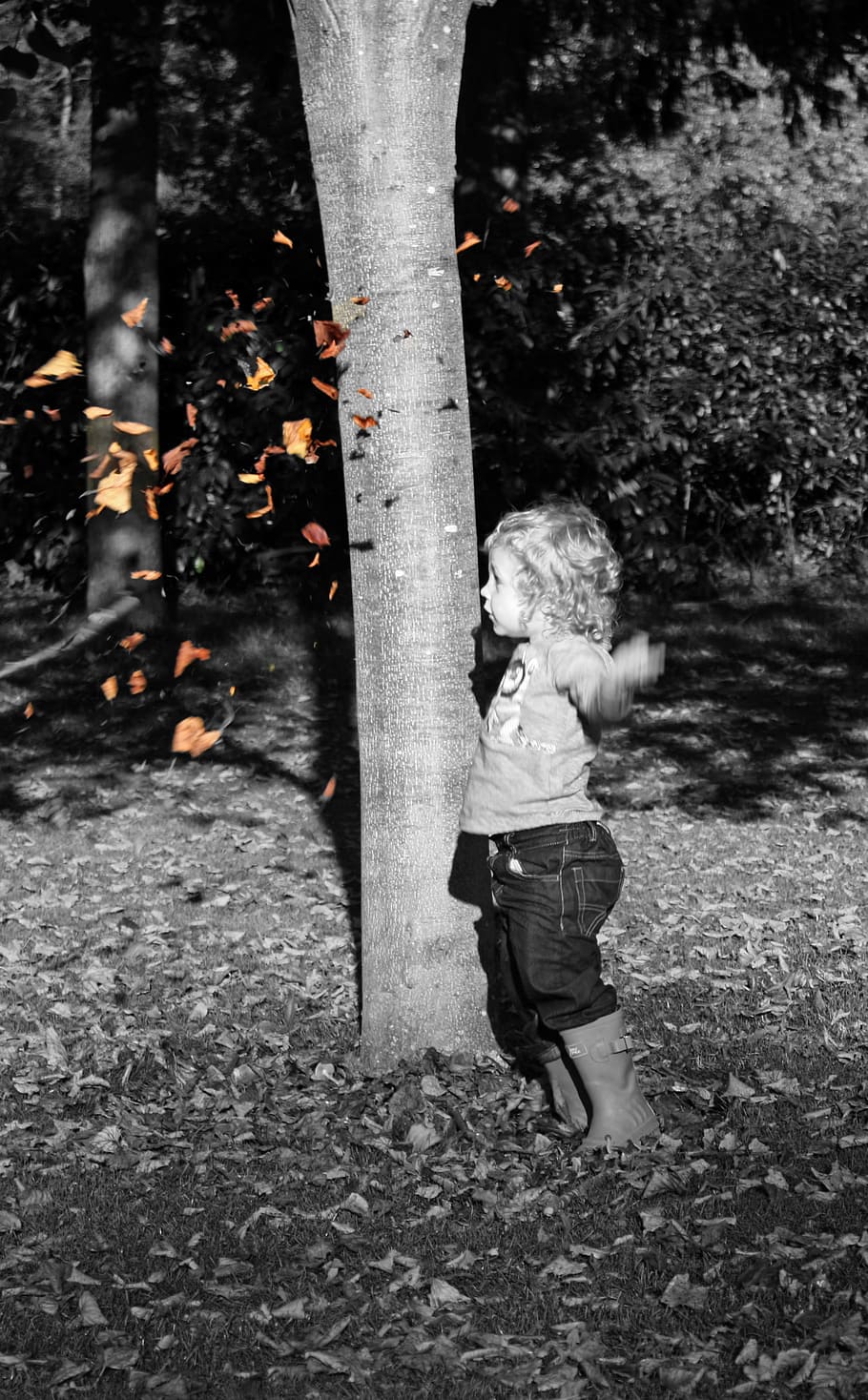boy, leaf, autumn, fall, baby boy, child, cute, kid, outdoor HD wallpaper