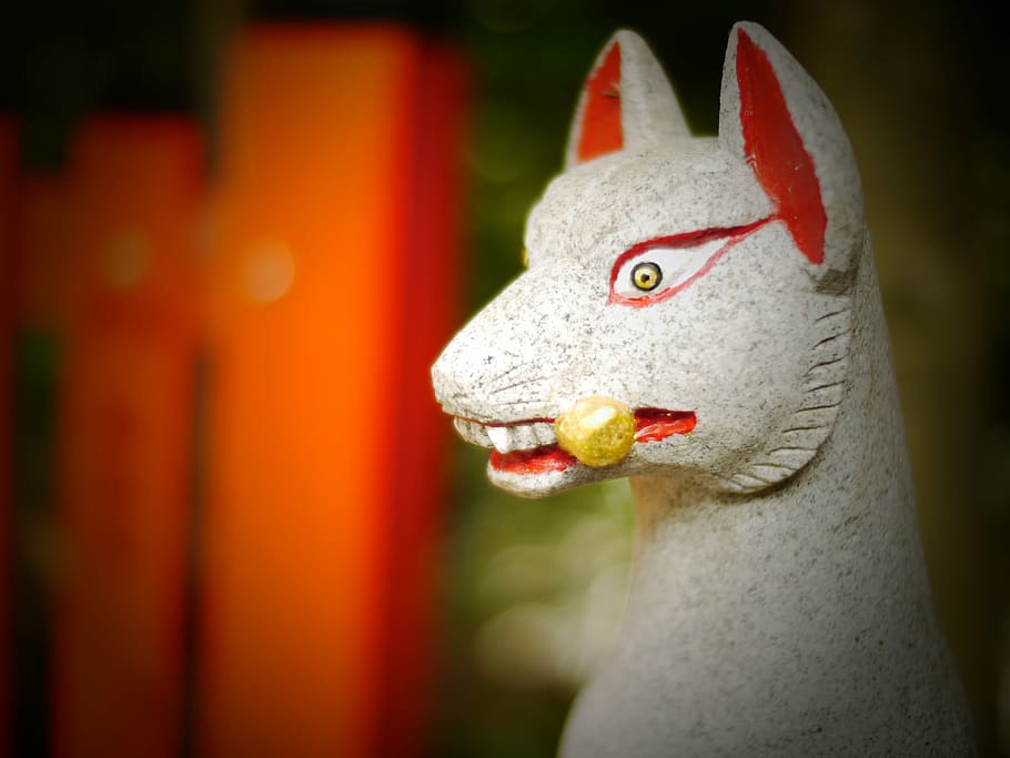 inari, fox, shrine, representation, focus on foreground, close-up